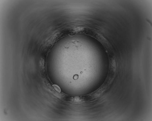 X0000101110565200807031742