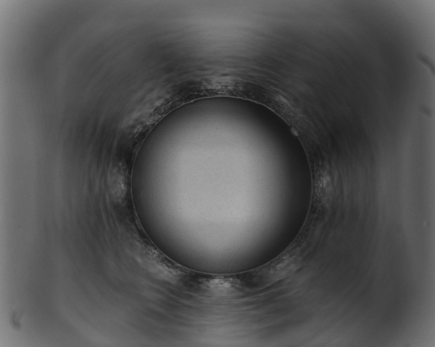X0000101110566200807031742