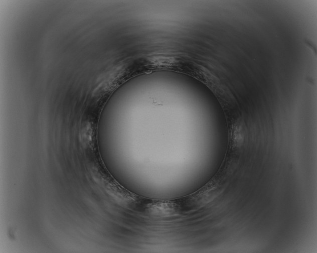 X0000101110567200807031742