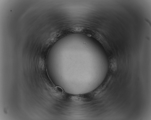 X0000101110568200807031742