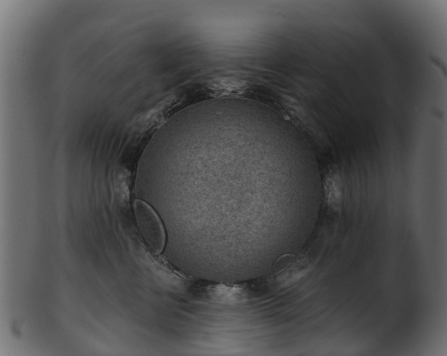 X0000101110570200807031742