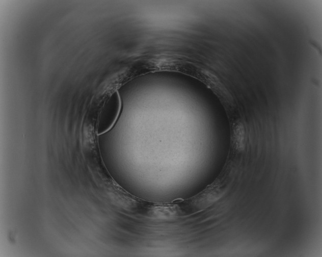 X0000101110571200807031742