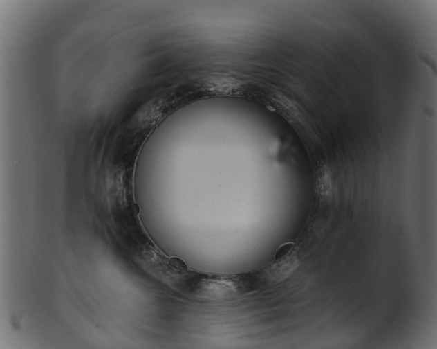 X0000101110572200807031742
