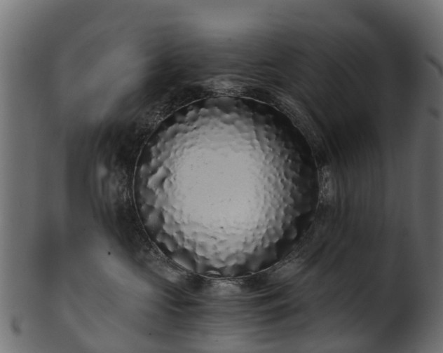 X0000101110573200807031742