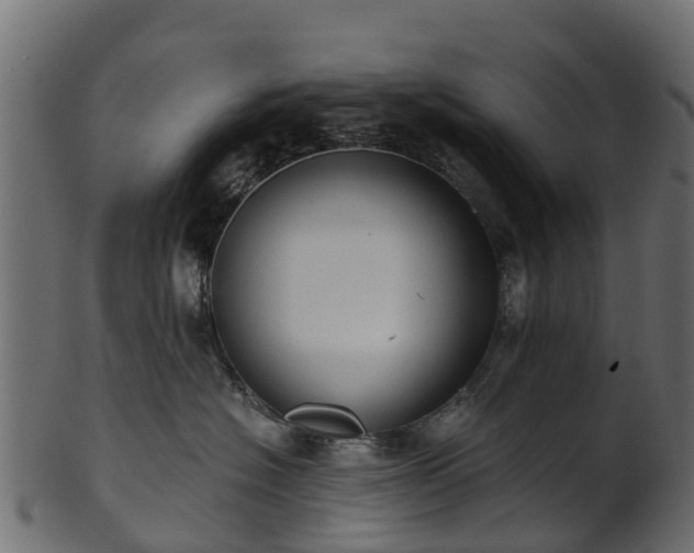 X0000101110574200807031742