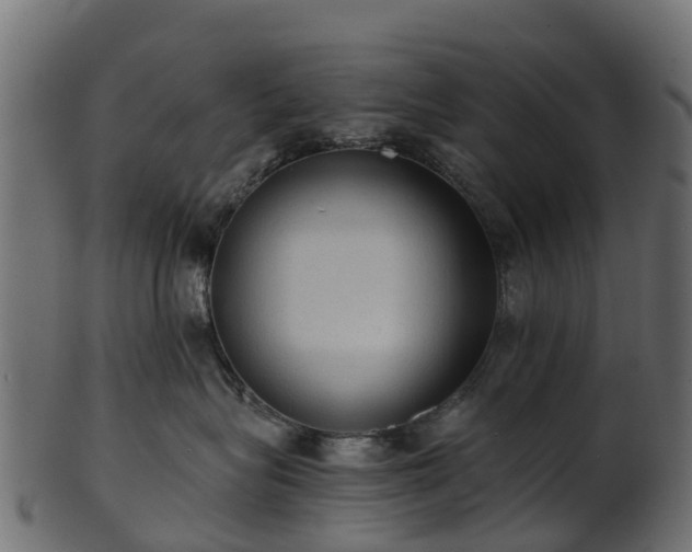 X0000101110575200807031742
