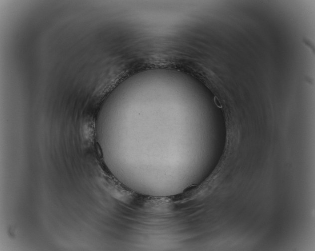 X0000101110576200807031742