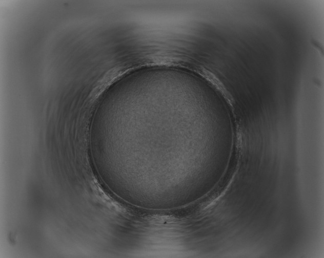 X0000101110577200807031742