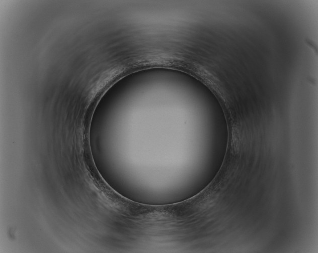 X0000101110578200807031742