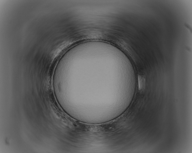 X0000101110579200807031742