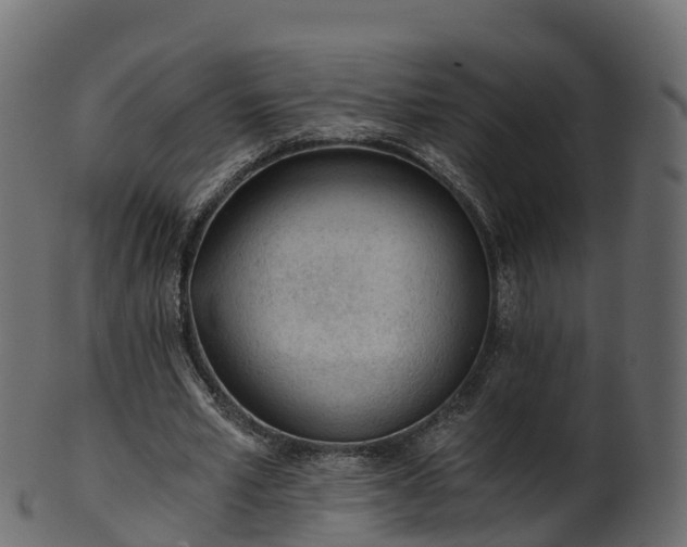 X0000101110581200807031742
