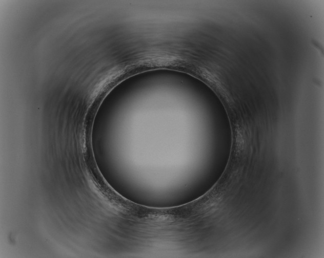 X0000101110582200807031742