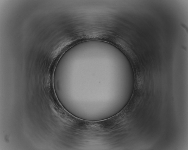 X0000101110583200807031742