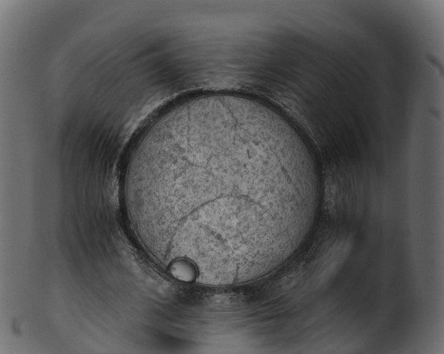 X0000101110584200807031742