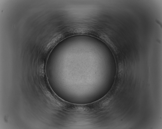 X0000101110585200807031742