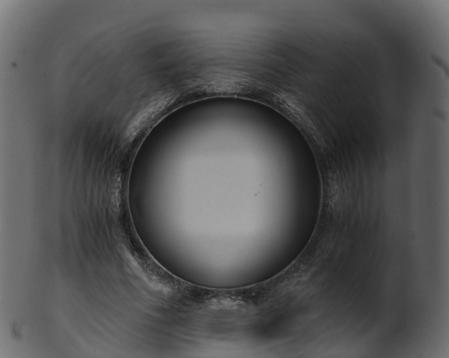 X0000101110586200807031742