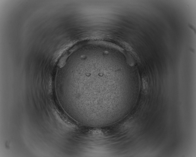 X0000101110588200807031742