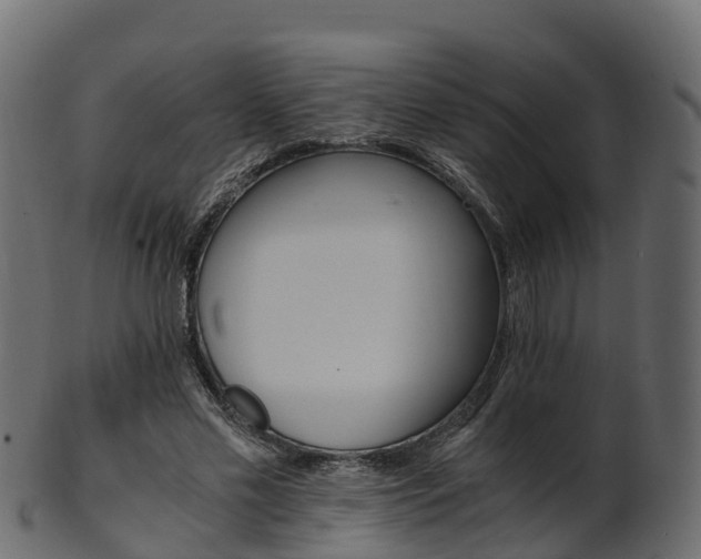 X0000101110589200807031742