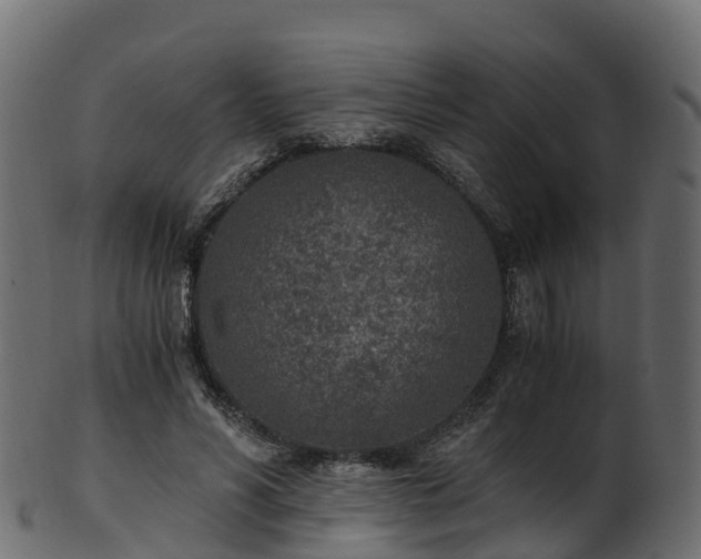X0000101110590200807031742