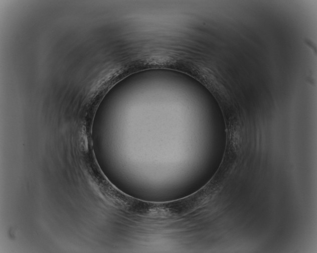 X0000101110591200807031742