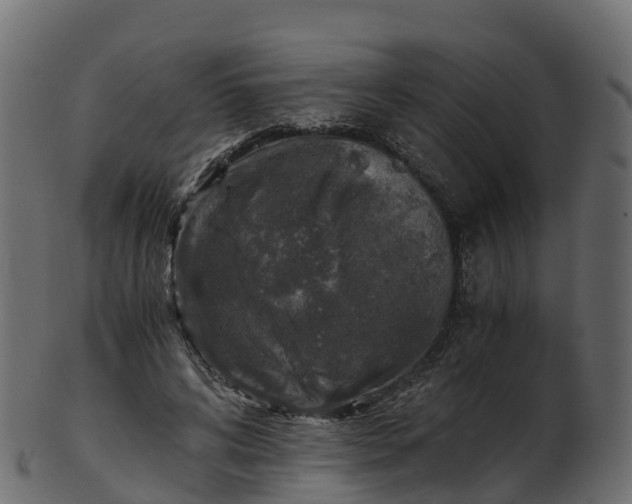 X0000101110592200807031742