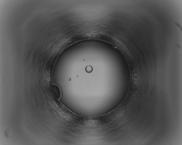 X0000101110593200807031742