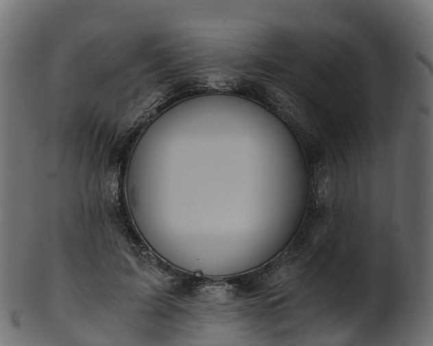 X0000101110595200807031742
