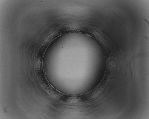 X0000101110597200807031742