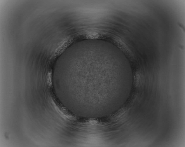 X0000101110598200807031742