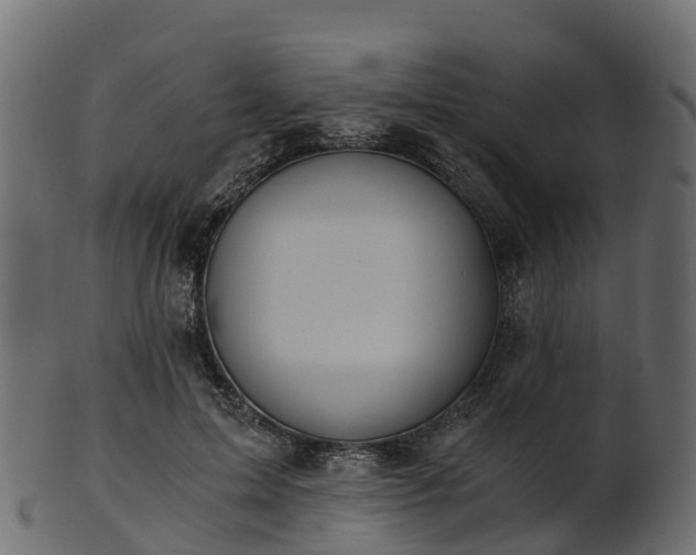 X0000101110599200807031741