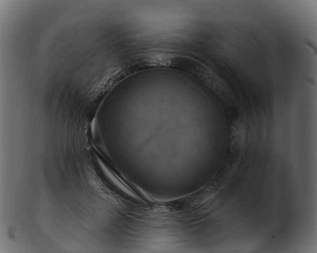X0000101110600200807031741