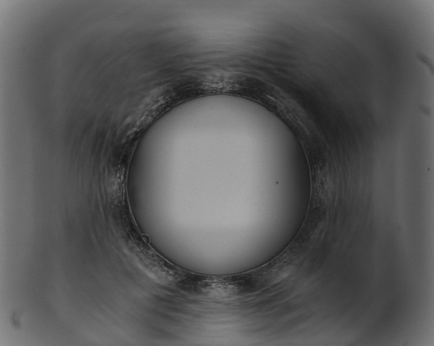 X0000101110601200807031741