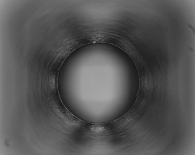 X0000101110602200807031741