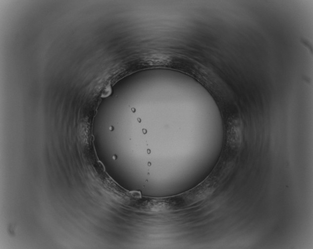 X0000101110604200807031741