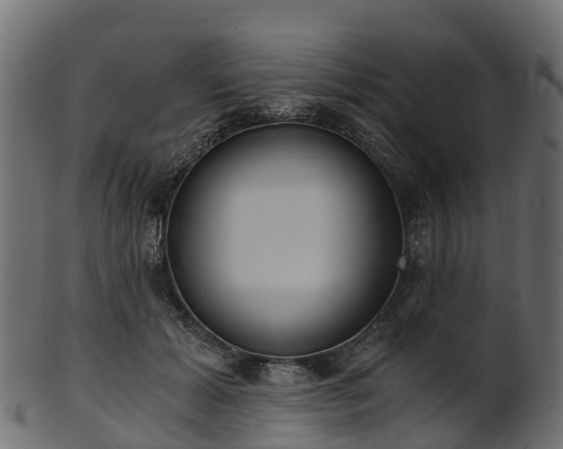 X0000101110605200807031741