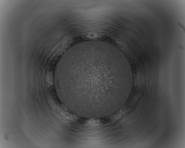 X0000101110606200807031741