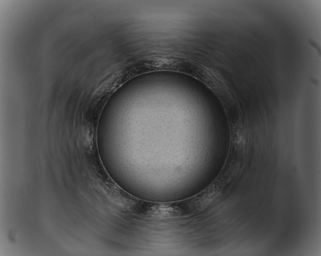 X0000101110607200807031741