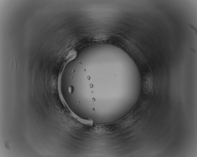 X0000101110608200807031741