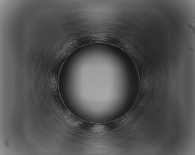 X0000101110609200807031741