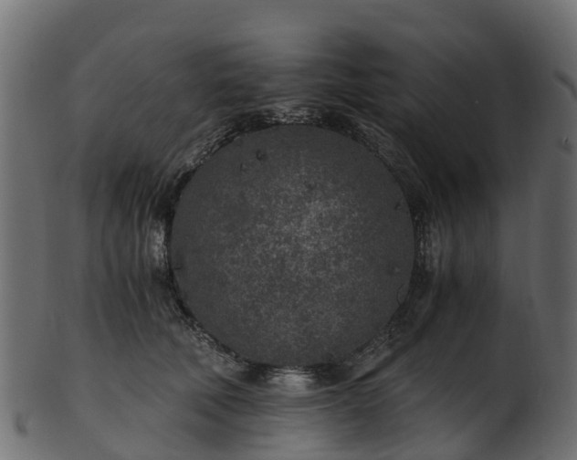 X0000101110610200807031741