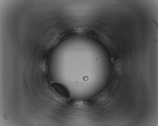 X0000101110611200807031741