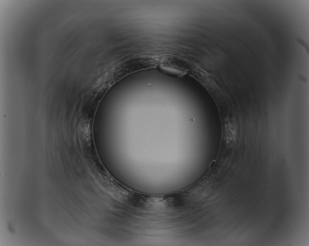 X0000101110613200807031741