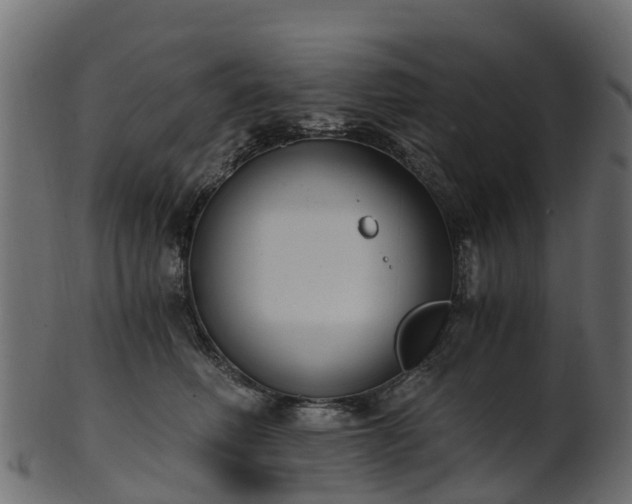 X0000101110614200807031741