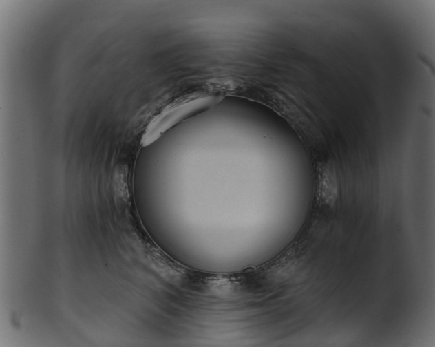 X0000101110616200807031741