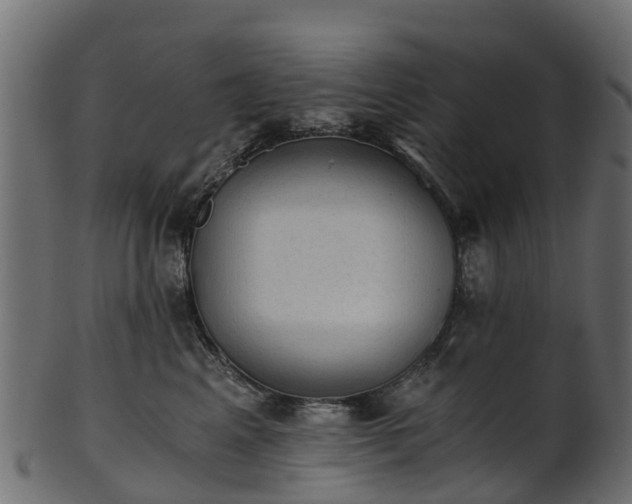 X0000101110617200807031741