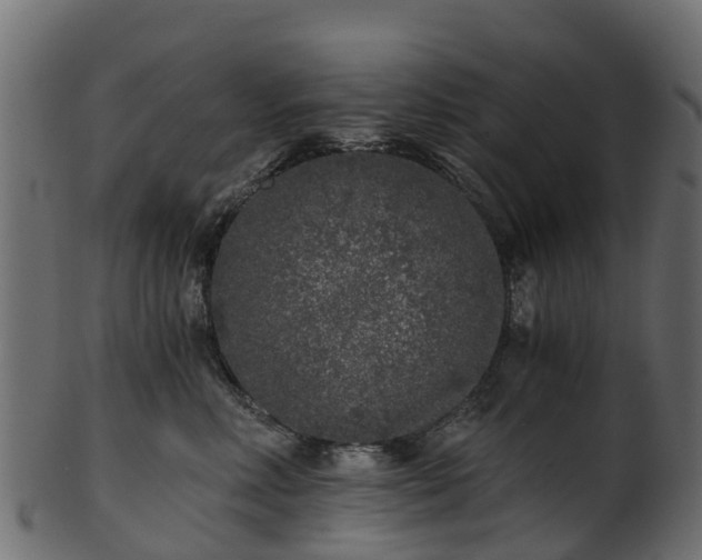 X0000101110618200807031741