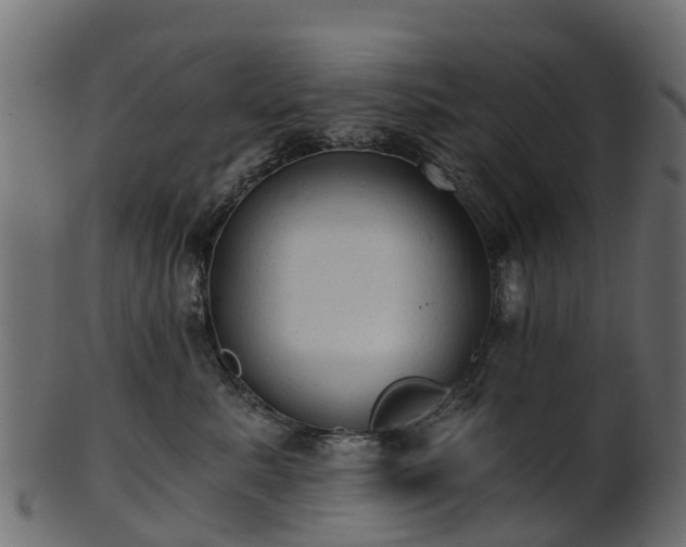 X0000101110619200807031741