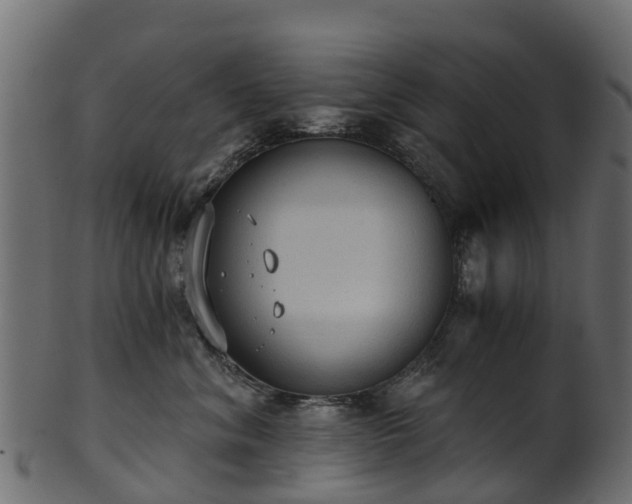 X0000101110620200807031741