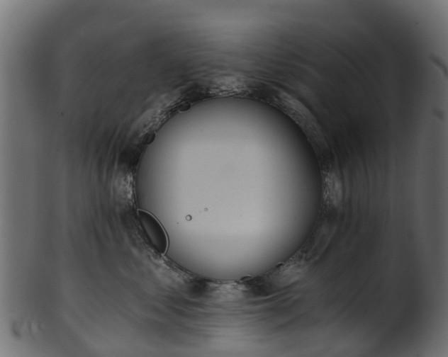 X0000101110621200807031741