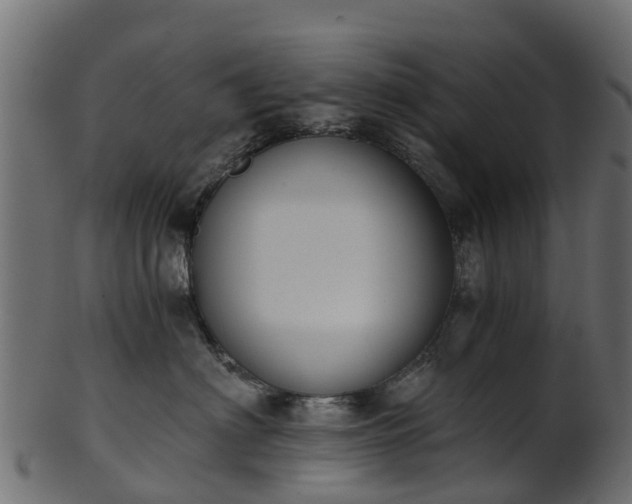 X0000101110622200807031741
